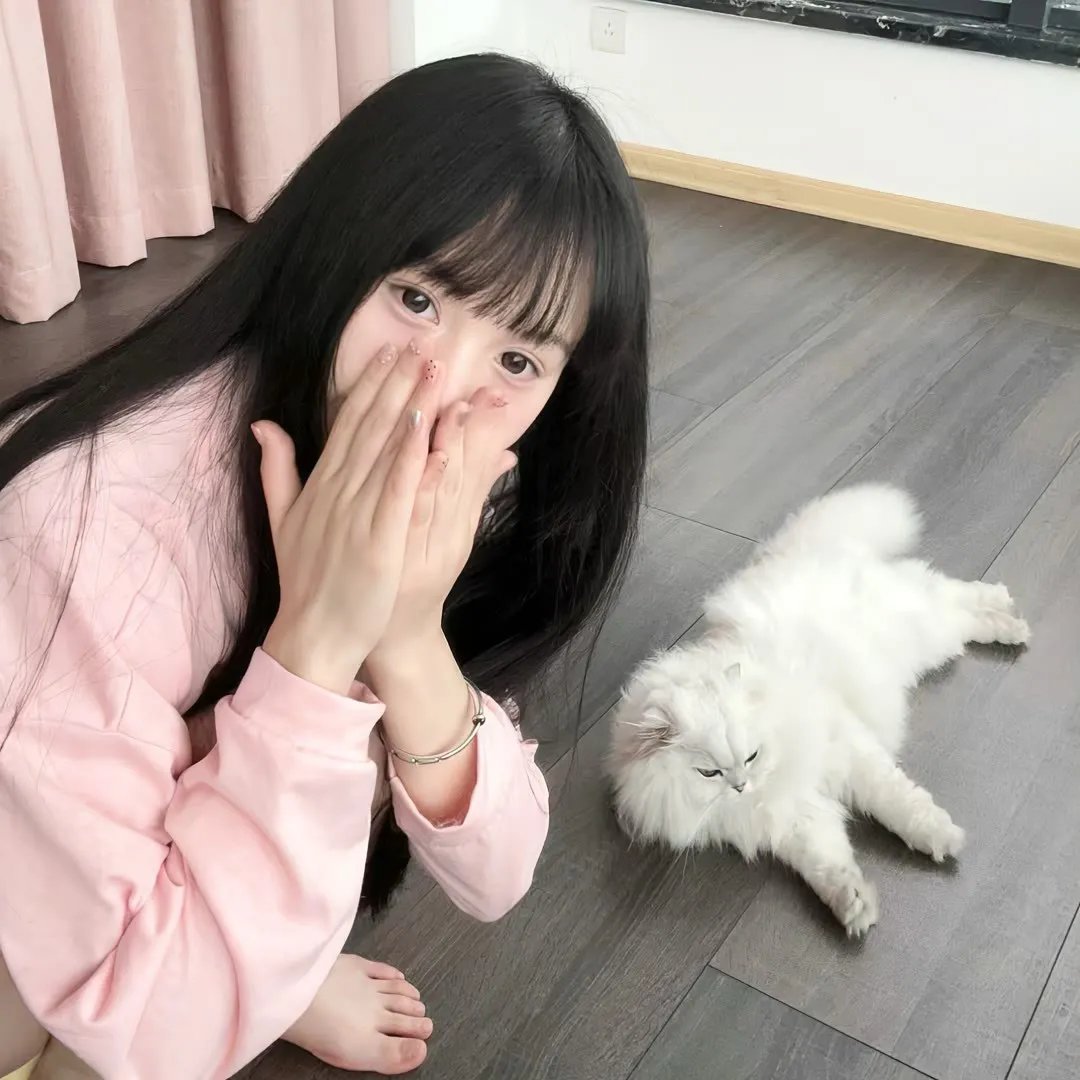 超完美抢案